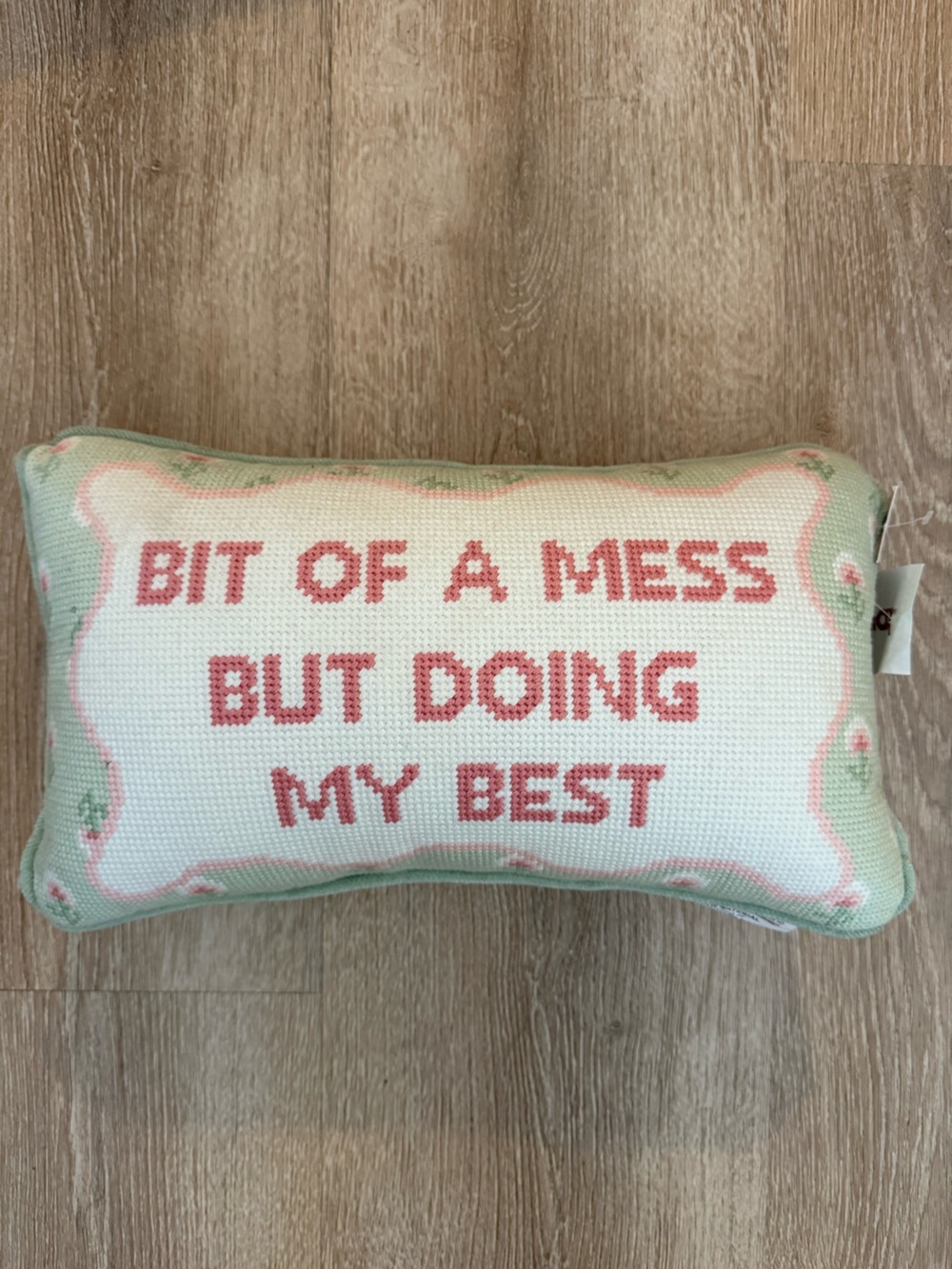 NEW Needlepoint Pillow 9x15 Decorative Pillow